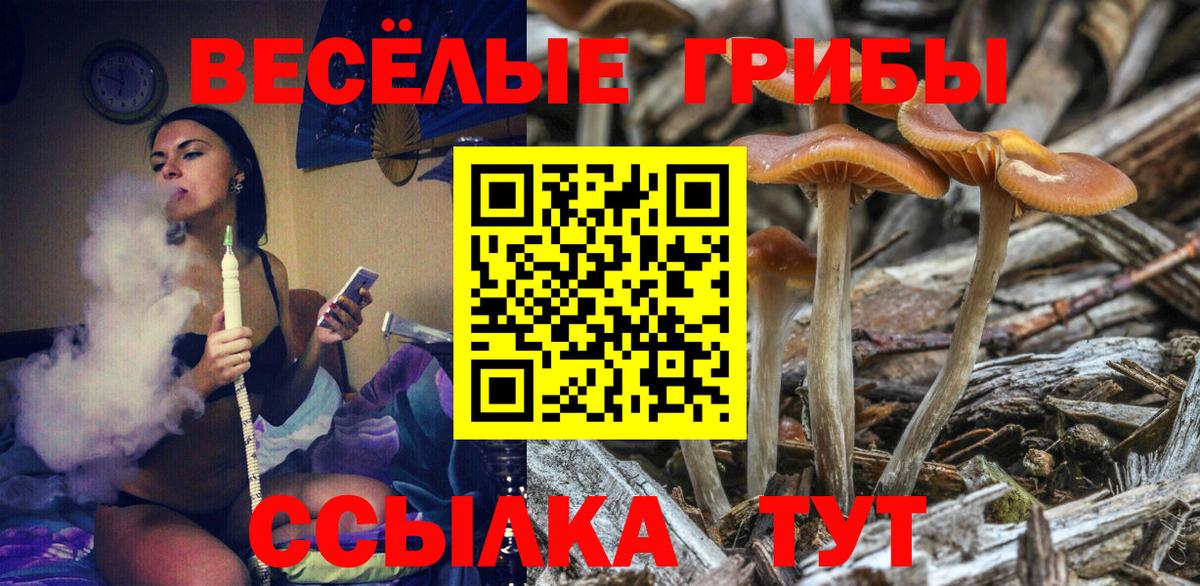 Галлюциногенные грибы Cubensis Тобольск