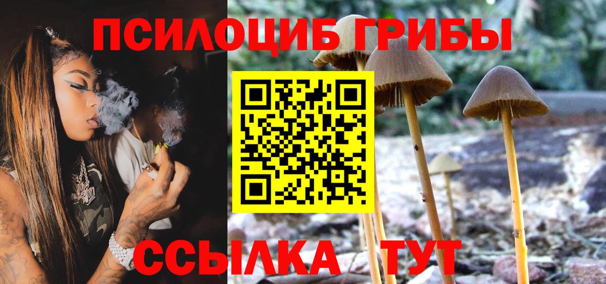 Тобольск  Галлюциногенные грибы GOLDEN TEACHER  Вход с VPN 